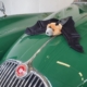 Ein Fledermaus-Stofftier liegt auf der Motorhaube eines grünen Jaguar XK 150. Sie liegt dort, wo üblicherweise die Kühlerfigur in Form eines springenden Jaguars befestigt ist.