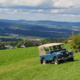Ein blauer Landrover Series I mit beigem Verdeck fährt in einer hügeligen Landschaft eine Wiese hoch.